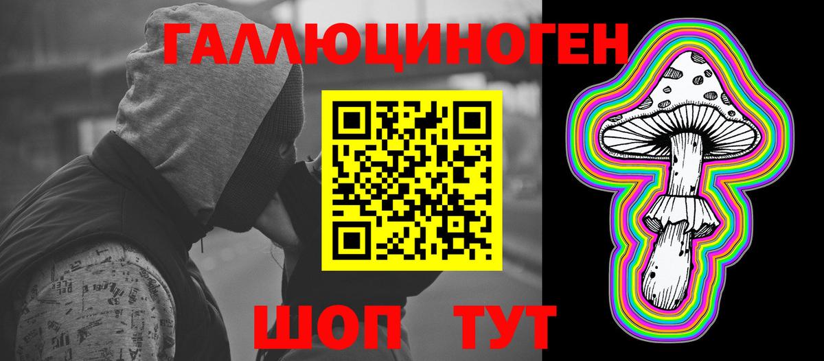 Псилоцибиновые грибы Psilocybe Анапа