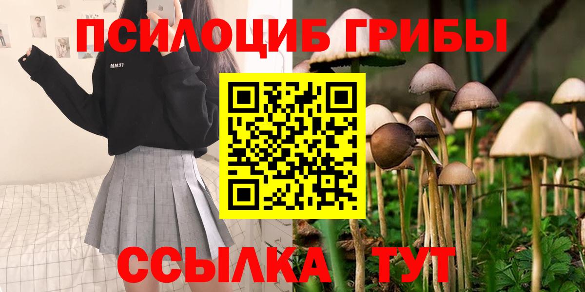 Галлюциногенные грибы MAGIC MUSHROOMS  Галлюциногенные грибы Psilocybine cubensis  Анапа  Вход с VPN 